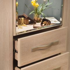 ДИАНА Д11 Шкаф для одежды в Дегтярске - degtyarsk.mebel24.online | фото 5