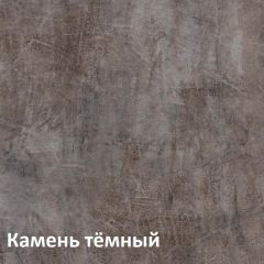 Крафт Полка для обуви 15.63 в Дегтярске - degtyarsk.mebel24.online | фото 4