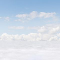 Кухонный фартук Фауна 060 МДФ матовый (3000) Fauna в Дегтярске - degtyarsk.mebel24.online | фото