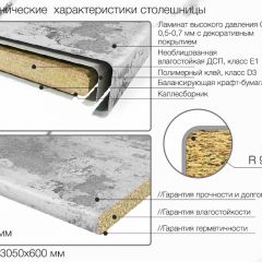 Кухонный фартук со столешницей (А-01) в едином стиле (3050 мм) в Дегтярске - degtyarsk.mebel24.online | фото 6