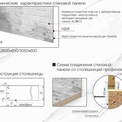 Кухонный фартук со столешницей (А-010) в едином стиле (3050 мм) в Дегтярске - degtyarsk.mebel24.online | фото 6