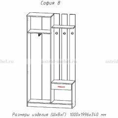 Прихожая София 8 в Дегтярске - degtyarsk.mebel24.online | фото 2