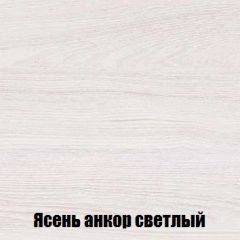 Шкаф 2-х створчатый МСП-1 (Ясень Анкор светлый) в Дегтярске - degtyarsk.mebel24.online | фото 4