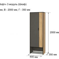ОЛЬГА-ЛОФТ 3 Шкаф 2-х створчатый в Дегтярске - degtyarsk.mebel24.online | фото 4