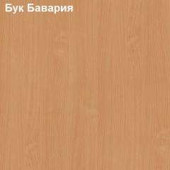 Шкаф для документов двери-ниша-двери Логика Л-9.2 в Дегтярске - degtyarsk.mebel24.online | фото 2