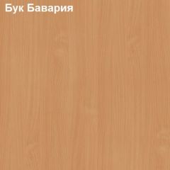 Шкаф для документов с нижними дверями Логика Л-9.3 в Дегтярске - degtyarsk.mebel24.online | фото 3