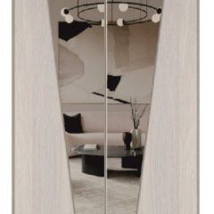 Шкаф-купе 1300 серии SILVER S1+S1+B2+PL2 (2 ящика+1 штанга+1 полка) профиль «Серебро» в Дегтярске - degtyarsk.mebel24.online | фото 12