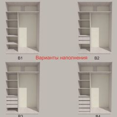 Шкаф-купе 1300 серии SILVER S1+S1+B2+PL2 (2 ящика+1 штанга+1 полка) профиль «Серебро» в Дегтярске - degtyarsk.mebel24.online | фото 5