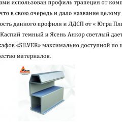 Шкаф-купе 1500 серии SILVER S1+S1+B2+PL2 (2 ящика+1 штанга+1 полка) профиль «Серебро» в Дегтярске - degtyarsk.mebel24.online | фото 4