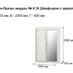 Шкаф-купе 1600 с зеркалом "Мария-Луиза 6.16" в Дегтярске - degtyarsk.mebel24.online | фото 4