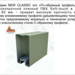 Шкаф-купе 1700 серии NEW CLASSIC K2+K2+B2+PL2(2 ящика+1 штанга+1 полка) профиль «Капучино» в Дегтярске - degtyarsk.mebel24.online | фото 17