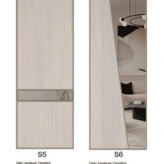Шкаф-купе 2250 серии SILVER S5+S5+S5 B22+PL4 (по 2 ящика лев/прав+F обр.штанга) профиль «Серебро» в Дегтярске - degtyarsk.mebel24.online | фото 14