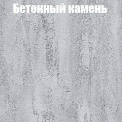 Шкаф-купе Бассо 1.0 (Дуб Крафт серый/Бетонный камень) 2 двери ЛДСП 2 зеркальные вставки в Дегтярске - degtyarsk.mebel24.online | фото 3