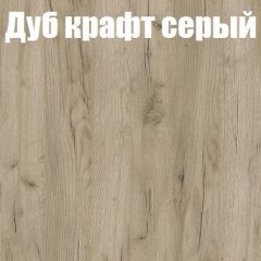 Шкаф-купе Бассо 1.0 (Дуб Крафт серый/Бетонный камень) 2 двери ЛДСП 2 зеркальные вставки в Дегтярске - degtyarsk.mebel24.online | фото 4