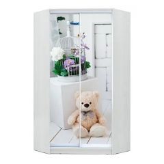 Шкаф-купе ХИТ-У-23-4-77 в Дегтярске - degtyarsk.mebel24.online | фото