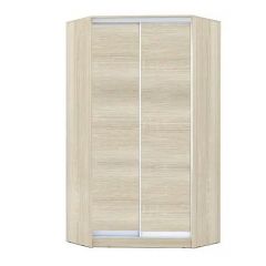 Шкаф-купе ХИТ-У-24-4-11 в Дегтярске - degtyarsk.mebel24.online | фото 8