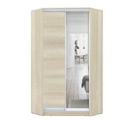 Шкаф-купе ХИТ-У-L-24-64-15 в Дегтярске - degtyarsk.mebel24.online | фото 8