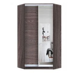 Шкаф-купе ХИТ-У-L-24-64-15 в Дегтярске - degtyarsk.mebel24.online | фото 11