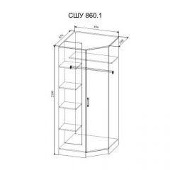 СОФИ СШУ860.1 Шкаф угловой в Дегтярске - degtyarsk.mebel24.online | фото 2