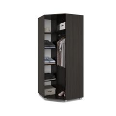ВИОРА Шкаф угловой В59 в Дегтярске - degtyarsk.mebel24.online | фото 4