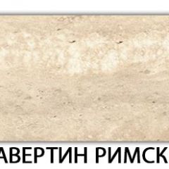 Стол обеденный Паук пластик  Аламбра в Дегтярске - degtyarsk.mebel24.online | фото 37