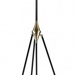 Светильник на штанге Lightstar Modena 816047 в Дегтярске - degtyarsk.mebel24.online | фото