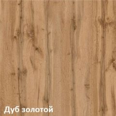 Вуди Шкаф для одежды 13.138 в Дегтярске - degtyarsk.mebel24.online | фото 4