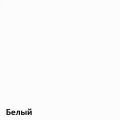 Вуди Шкаф для одежды 13.138 в Дегтярске - degtyarsk.mebel24.online | фото 5