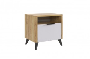 АДАМ Спальный гарнитур (модульный) белое дерево в Дегтярске - degtyarsk.mebel24.online | фото 10
