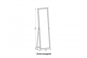 АЛЕКСАНДРИЯ-9.1 Зеркало напольное в Дегтярске - degtyarsk.mebel24.online | фото 2