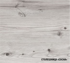 АСАЯ Кухонный гарнитур Экстра (3000 мм) в Дегтярске - degtyarsk.mebel24.online | фото 8