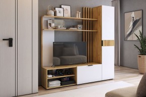 БЕРИ К1 Гостиная в Дегтярске - degtyarsk.mebel24.online | фото
