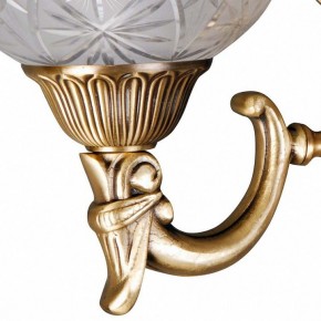 Бра MW-Light Афродита 2 317021902 в Дегтярске - degtyarsk.mebel24.online | фото 5