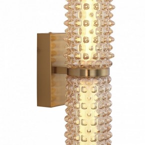 Бра ST-Luce SAGUARO SL6144.301.01 в Дегтярске - degtyarsk.mebel24.online | фото 6