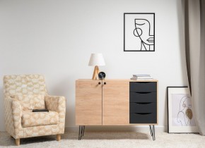 БРЮС Комод 16.233 в Дегтярске - degtyarsk.mebel24.online | фото 2