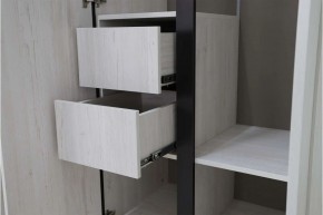ДЕЛИ 3 Шкаф 3-х створчатый в Дегтярске - degtyarsk.mebel24.online | фото 7