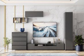 ДЕНВЕР Тумба для ТВА (Графит серый) в Дегтярске - degtyarsk.mebel24.online | фото 4