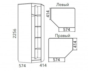 Детская Фанк Шкаф угловой Левый/Правый НМ 013.04-02 М в Дегтярске - degtyarsk.mebel24.online | фото 3