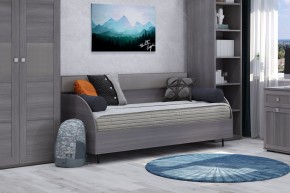 Диван-кровать 900 Парма Нео в Дегтярске - degtyarsk.mebel24.online | фото 4