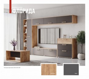 ФЛОРИДА Гостиная (модульная) дуб золотой/графит в Дегтярске - degtyarsk.mebel24.online | фото