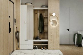 Гарнитур для прихожей Торонто в Дегтярске - degtyarsk.mebel24.online | фото 5