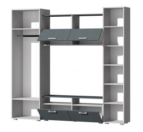 Гостиная Эмми (Анкор светлый/Графит) в Дегтярске - degtyarsk.mebel24.online | фото 3