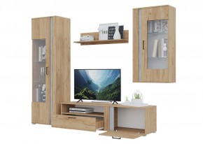 Гостиная Омега (Крафт золотой-Бетон) в Дегтярске - degtyarsk.mebel24.online | фото 4