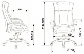 Кресло для руководителя Бюрократ CH-879N в Дегтярске - degtyarsk.mebel24.online | фото