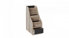 Кровать двухъярусная Окланд СМ-324.11.001 в Дегтярске - degtyarsk.mebel24.online | фото 3