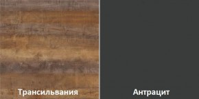 Кухонный гарнитур угловой Трансильвания 2600х1600 мм (Стол. 26 мм) в Дегтярске - degtyarsk.mebel24.online | фото 3