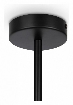 Люстра на штанге Maytoni Memory MOD177PL-04B в Дегтярске - degtyarsk.mebel24.online | фото 4