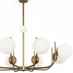 Люстра на штанге Maytoni Rendez-vous MOD109PL-08BS в Дегтярске - degtyarsk.mebel24.online | фото 4