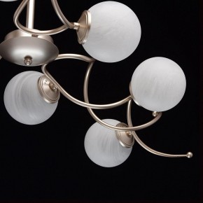 Люстра на штанге MW-Light Оливия 5 306012709 в Дегтярске - degtyarsk.mebel24.online | фото 10