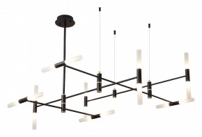 Люстра на штанге ST-Luce  SL1216.403.16 в Дегтярске - degtyarsk.mebel24.online | фото 2